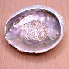 Vintage ABALONE SHELL Large Colorful 7 x 6 inches picture
