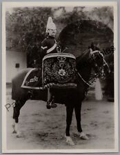Military Photo 4th Royal Irish Dragoon Guards Trooper On Drum Horse c1897 picture