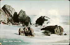 Postcard: Shore Scene Casco Bay picture