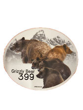 Grizzly Bear 399 with 4 Cubs in Grand Teton National Park Magnet picture