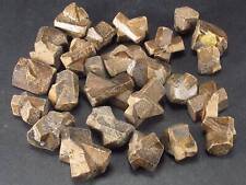 Lot of 25 Perfect Staurolite Crystals from USA picture
