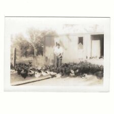 Man Feeding A Lot Of Chickens Rural Farm Coop Barn Vintage Snapshot Photo picture