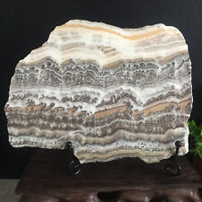 522g Natural Bonsai Calcite Water Grass Picture Rock Rare Stunning Viewing 06 picture