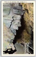 Witch Grottoes Howe Caverns New York Cave Interior Historic NY Vintage Postcard picture
