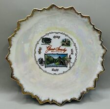 Vintage Great Smokey Mountains Souvenir Plate Wall Hanging  picture