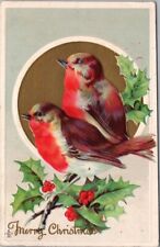 Vintage 1912 CHRISTMAS Embossed Postcard Robin Birds / Holly - STECHER 224E picture