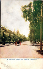Postcard Antique Palmetto Avenue Los Angeles CA California c1908 Horse Carriage picture