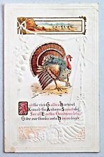 Thanksgiving Golden Harvest Turkey 1914 Embossed DB Postcard 3465 picture
