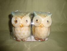 CUTE Owls Salt and Pepper Shakers-Halloween-Fall picture