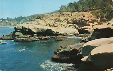 San Diego CA California, Goldfish Point, La Jolla, Vintage Postcard picture
