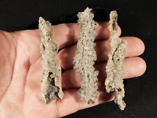 Lot of Three Larger 100% Natural HOLLOW FULGURITE s or Petrified Lighting 14.6gr picture