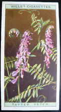 1923 W.D. & H.O. Wills Tobacco Card Wild Flowers #47 Tufted Vetch VG/EX picture