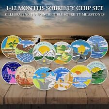 12Pcs Sobriety Coin Monthly Milestone 1-12 Months Sobriety Chip Set Gifts picture