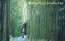 Bamboo Forest Paradise Park Posted Hawaii Bathing Spot Vintage Chrome Post Card picture