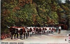 Oregon Logging Scene OR Ox Oxen Unused BB Rich Postcard H48 picture