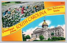 Greetings From South Carolina The Palmetto State Chrome Postcard 1552 picture