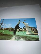 Florida St Augustine Daytona Beach Oceanarium Marineland Marine Studios Vintage picture