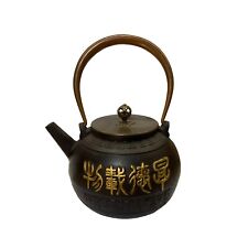 Handmade Quality Asian Cast Iron Teapot Shape Display Art ws2374 picture