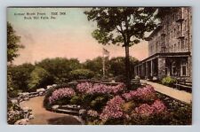 Buck Hill Falls PA-Pennsylvania, N Front the Inn, Advertising, Vintage Postcard picture