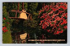Cypress Gardens FL- Florida, Reflection Time, Antique, Vintage Souvenir Postcard picture