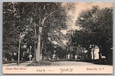 Vintage Postcard Upper main St. Waterville New York *C5426 picture