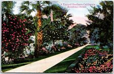 VINTAGE POSTCARD A TYPICAL SOUTHERN CALIFORNIA RESIDENCE STREET c. 1910s picture