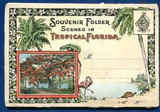 Tropical Florida 1920s fl #3 scenes postcard folder picture