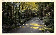 Vintage Postcard- WOODS ROAD, INLET, N.Y. picture