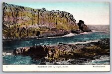 Hand-Colored~Ogunquit Maine~Bald Head Cliff Scenic Birds Eye View~Vintage PC picture