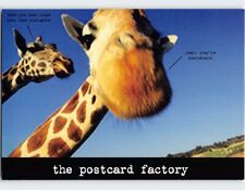 Postcard The Postcard Factory picture