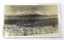 San Bernardino Valley c1910 Antique Photograph Orange Groves Mountains 8 x 5 in picture