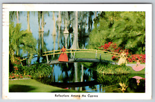 c1910s Reflections Among the Cypress Vintage Postcard picture
