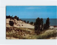 Postcard Indiana Dunes State Park Chesterton Indiana USA picture