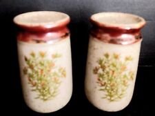 Vintage MCM Takahashi Stoneware Salt & Pepper Shakers Japan Orange Flowers Set picture