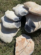 3 Pounds Of High Quality Georgetown Flint ( Whole Rock) Flint Knapping picture