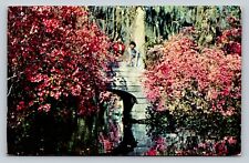 c1958 Two Women Taking In Beautiful View At Cypress Gardens SC VINTAGE Postcard picture