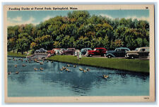 c1940's Feeding Ducks at Forest Park Springfield Massachusetts MA Postcard picture