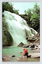 Trout Fishing Below Beautiful Mountain Waterfalls Western NC Postcard UNP VTG picture