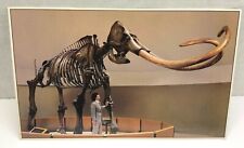 Imperial Mammoth Elephant Souvenir Postcard La Brea Museum Unposted Large picture