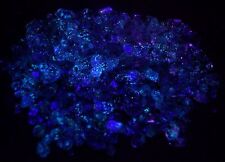 Wow Rare 535 ct,lot Terminated Fantastic Fluorescent PETROLEUM Diamond Quartz picture