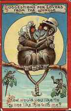 Suggestions for Lovers from the Jungle Chimps Kissing c1910 Vintage Postcard picture