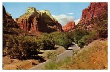 Vintage Zion National Park Utah UT Postcard Unposted Chrome picture