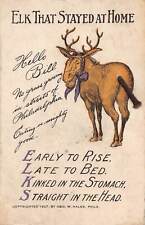 J94/ Interesting Postcard Elks Fraternity B.P.O.E. 3D Tail Stayed At Home 296 picture