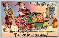 The New Road Hog Souvenir The Hardy Burwells Bay Rushmere VA Postcard Humor picture