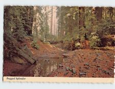 Postcard Rugged Splendor Stream Redwood Forest California USA North America picture