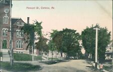 Corinna, ME - Pleasant Street 1910 - Vintage Penobscot County, Maine Postcard picture