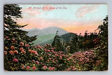 Postcard Mt. Mitchell highest peak east  the Rocky Mountains   C-13 picture