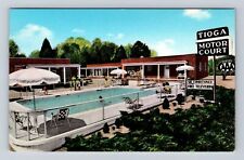 Williamsburg VA-Virginia, Tioga Motor Court, Pool, Advertising, Vintage Postcard picture