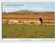 Postcard Shepherds Field Bethlehem Palestine picture
