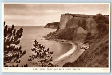 Seaton Devon England Postcard West Cliff from Old Beer Road c1920's Tuck Art picture